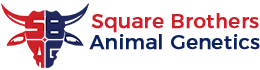Square Brothers Animal Genetics